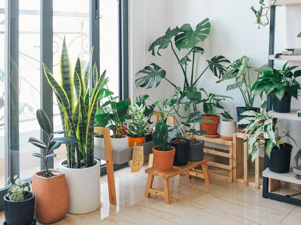 Garden Room