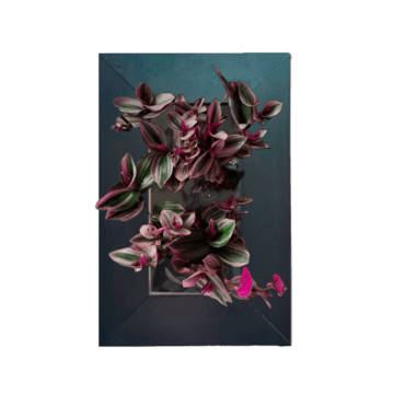 Diseño Natural
